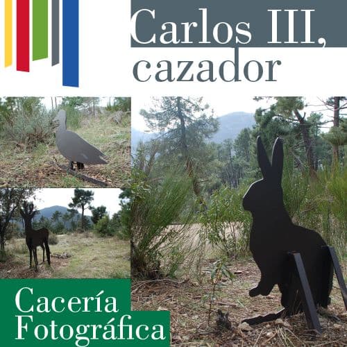 Фотоохота