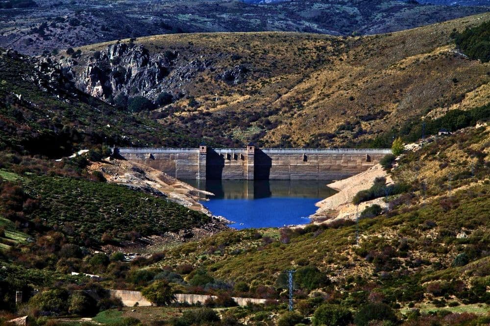 Pinar de Abantos