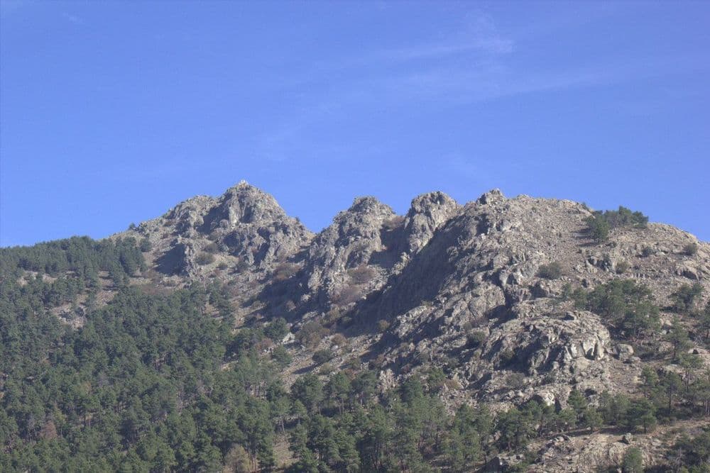 Pinar de Abantos
