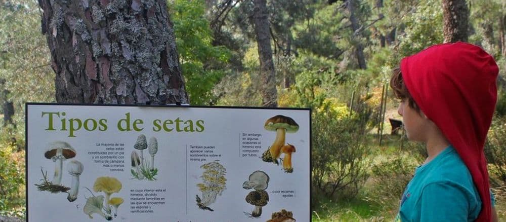 Arboreto Luis Ceballos