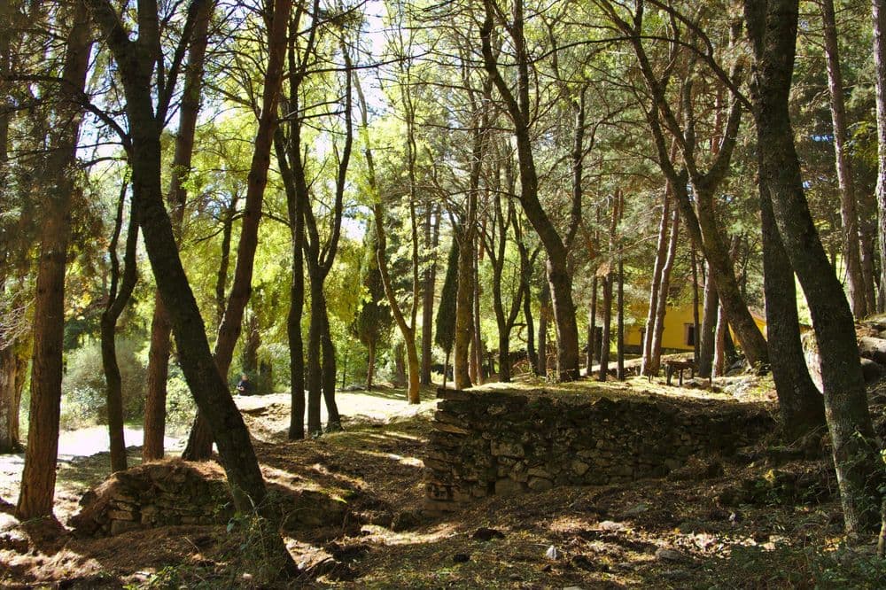 Fuente nueva-Casa de los Llanillos