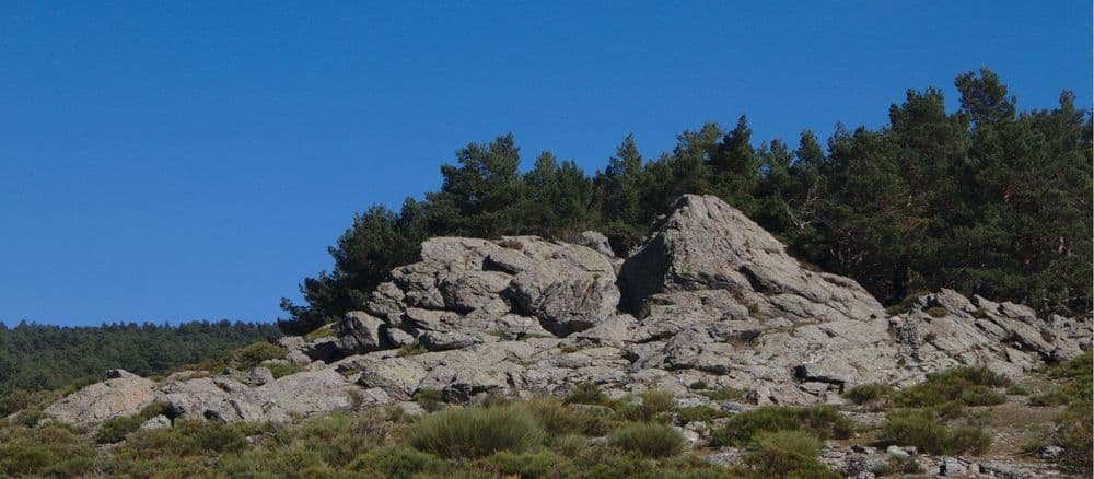 Abantos-La Naranjera